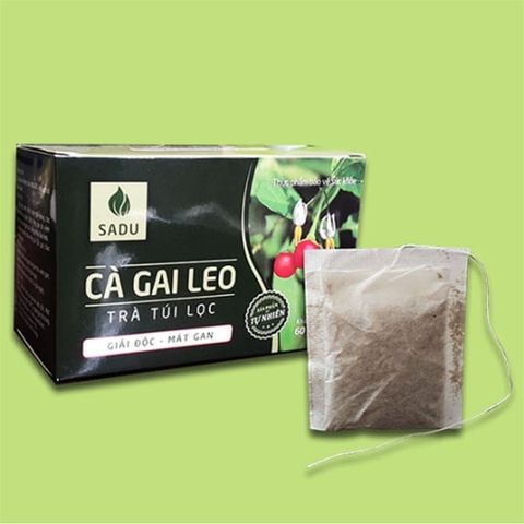  Trà túi lọc Cà Gai Leo - Hỗ trợ giải độc gan 