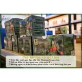  Trà túi lọc Cà Gai Leo - Hỗ trợ giải độc gan 