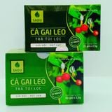  Trà túi lọc Cà Gai Leo - Hỗ trợ giải độc gan 