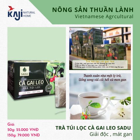  Trà túi lọc Cà Gai Leo - Hỗ trợ giải độc gan 