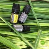  Tinh Dầu Sả Chanh Thiên Nhiên 