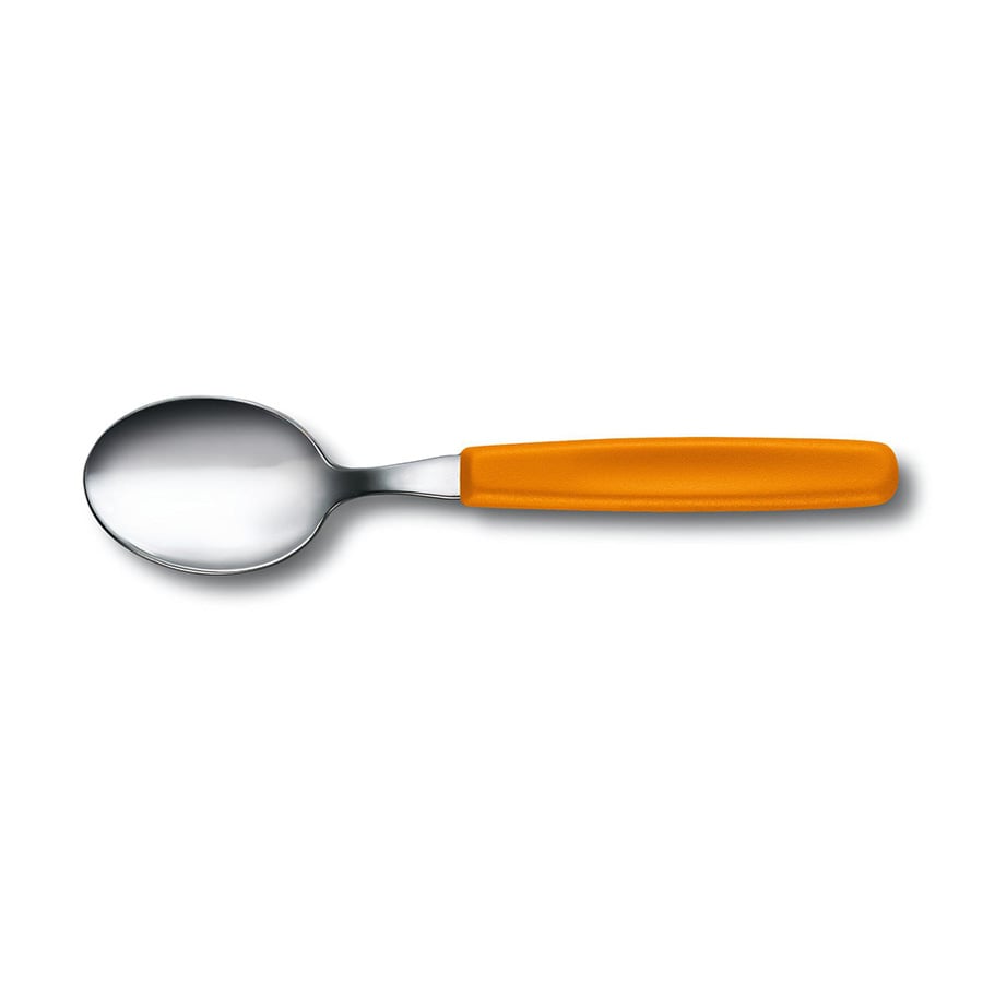 Muỗng (thìa) canh Swiss Classic