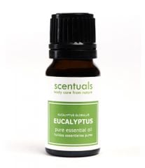  Tinh Dầu Scentuals Bạch Đàn Xanh (Eucalyptus Gloulus/Pure Essential Oil ) 10ml 