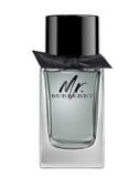 Nước Hoa Nam MR. BURBERRY EDT 100ML