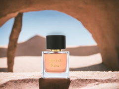  Nước Hoa Unisex Paris Bleu Parfums Secret Rose 100Ml 