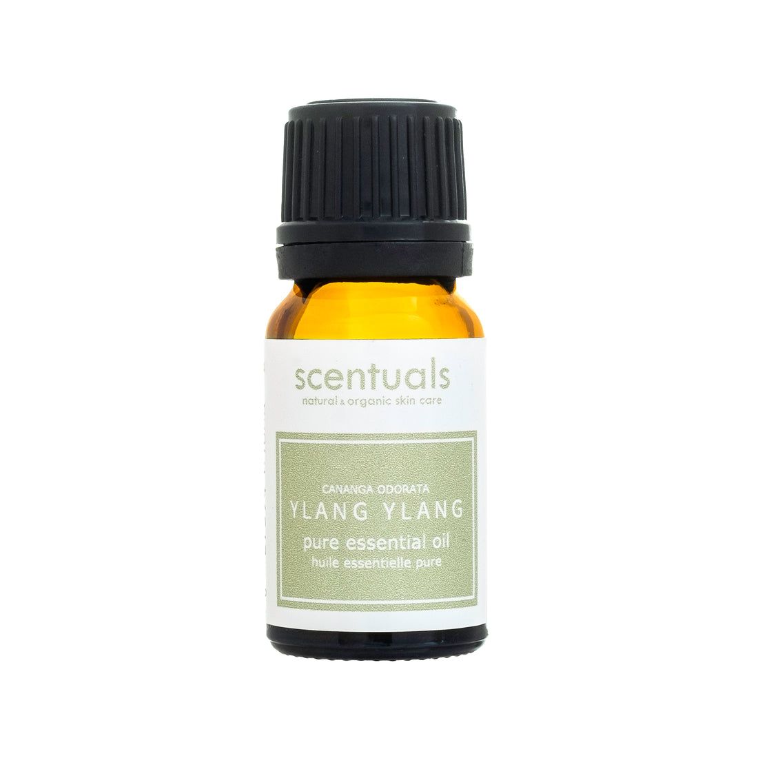  Tinh Dầu Scentuals Xông Hương Ngọc Lan Tây 10ml 