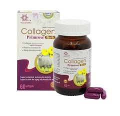  TPBVSK COLLAGEN PRIMROSE PLUS+ 