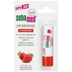  Son Dưỡng Bảo Vệ, Chống Khô Và Chống Nứt Môi Hương Dâu Sebamed Ph5.5 (Sss10C) 4.8G 
