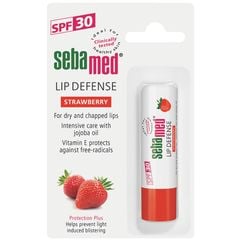  Son Dưỡng Bảo Vệ, Chống Khô Và Chống Nứt Môi Hương Dâu Sebamed Ph5.5 (Sss10C) 4.8G 