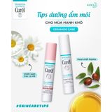  Son Dưỡng Môi Cấp Ẩm Chuyên Sâu Curel Intensive Moisture Care Moisture Lip Care Cream 4.2g - Không Màu 