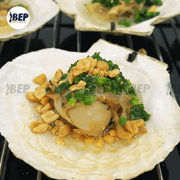 Sò Điệp Nhật nguyên con - thùng 20kg (size 7-9con/kg)