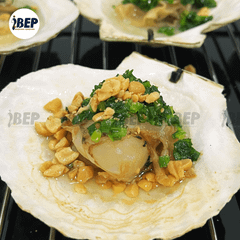 Sò Điệp Nhật nguyên con - thùng 20kg (size 7-9con/kg)