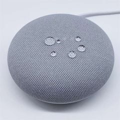 Loa Thông Minh Google Nest Mini Thế Hệ 2