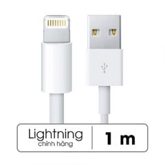 Cáp Sạc Lightning Zin Cho iPhone (Theo máy iPhone 6s)