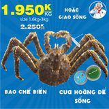  King Crab Đỏ Sống 