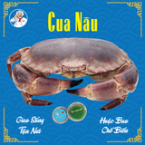  Cua Nâu Sống 