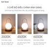 Đèn không dây trang trí Cell Home pin tích điện 3 chế độ ánh sáng