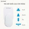 Đèn bắt muỗi côn trùng gắn tường nhỏ gọn đèn LED UV an toàn không chứa hoá chất