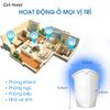 Đèn LED UV bắt muỗi côn trùng sạc di động tiện lợi không hoá chất độc hại