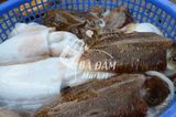 MỰC NANG MINO (CẤP ĐÔNG)