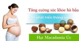  HẠT FONUT - HẠT MACCA NỨC VỎ ÚC NHẬP KHẨU CHÍNH HÃNG 