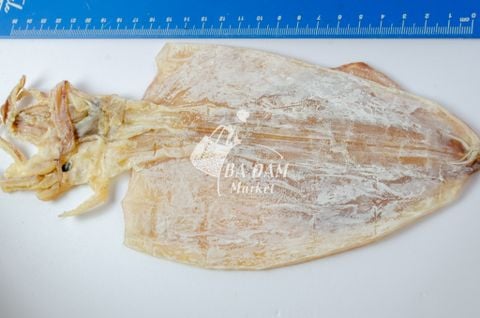MỰC ỐNG KHÔ PHƠI TÀU CỠ LỚN 500GR LOẠI 1