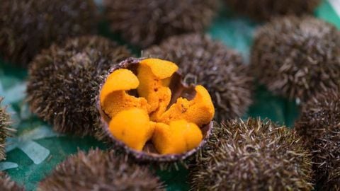 MẮM NHUM ĐẶC SẢN SA HUỲNH QUẢNG NGÃI 200GR- THƯƠNG HIỆU Sahu (HŨ THUỶ TINH)