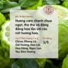 Tinh Dầu Cam Hương Bergamot (Bergamot Essential Oil) Heny Garden