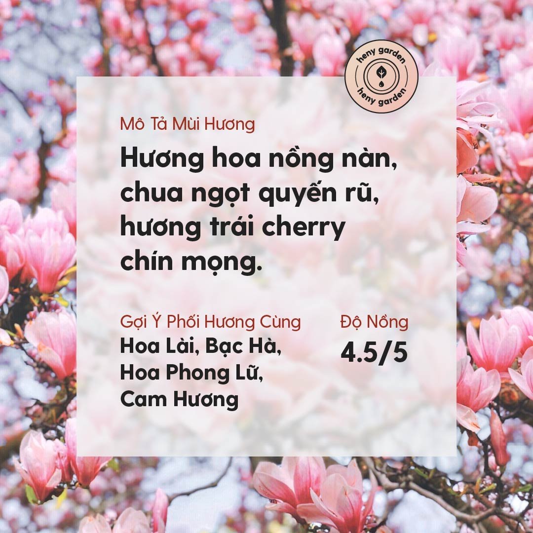 Tinh Dầu Hoa Anh Đào (Cherry Blossom Essential Oil) Heny Garden