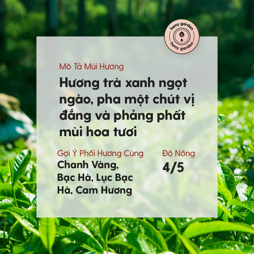 Tinh Dầu Trà Xanh (Green Tea Essential Oil) Heny Garden