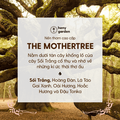 Nến Thơm Cao Cấp The Mother Tree