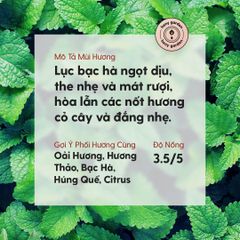 Tinh Dầu Lục Bạc Hà (Cooling Spearmint Essential Oil) Heny Garden