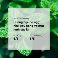 Tinh Dầu Bạc Hà (Icy Peppermint Essential Oil) Heny Garden