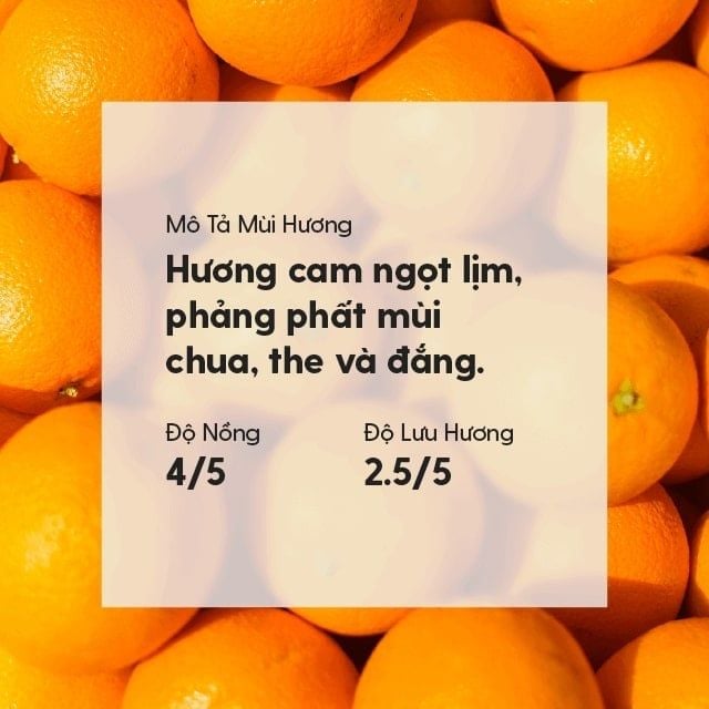 Tinh Dầu Cam (Orange Essential Oil) Heny Garden