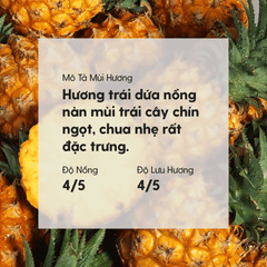 Tinh Dầu Dứa/ Khóm (Pineapple Essential Oil) Heny Garden