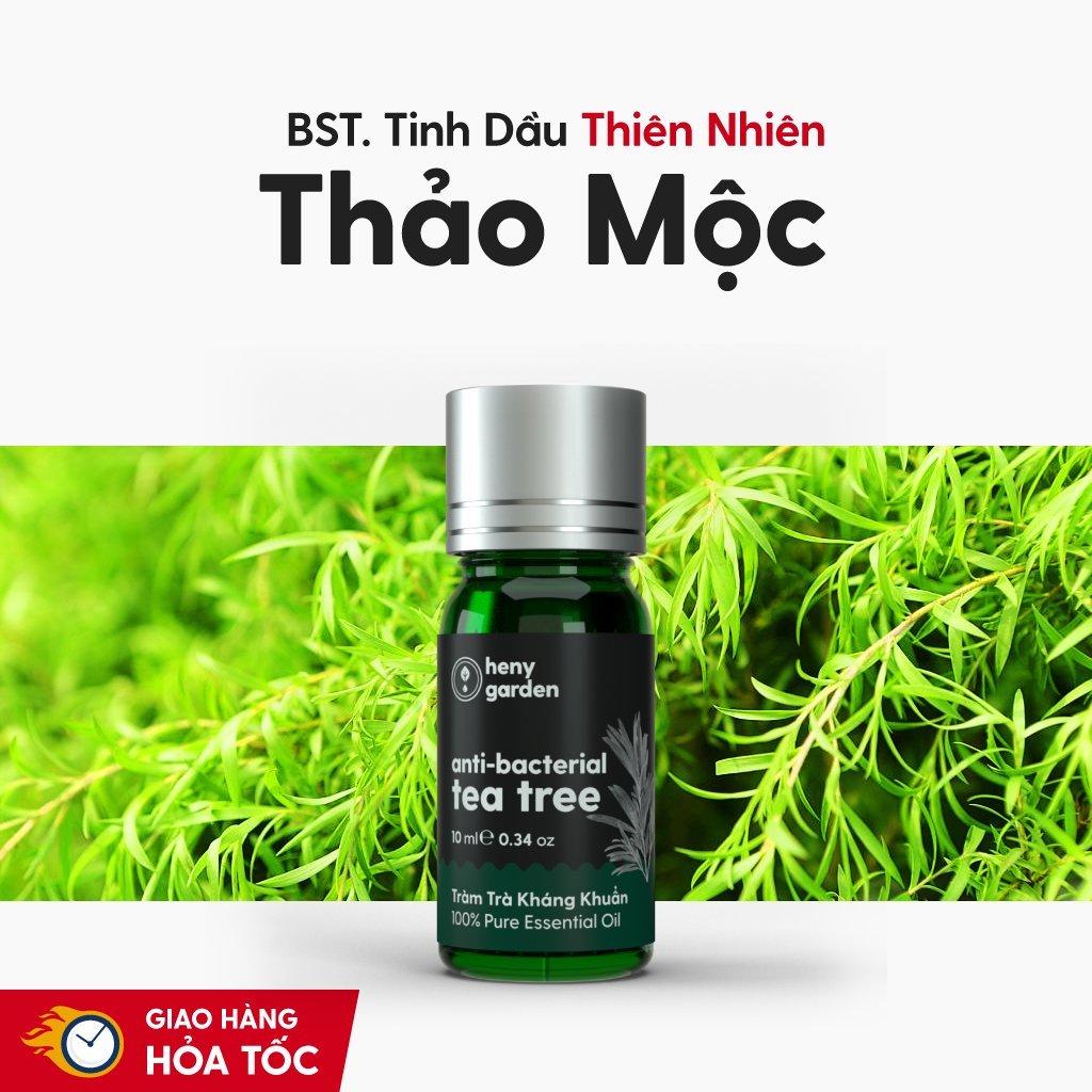 Tinh Dầu Thơm Phòng Thiên Nhiên 10 MÙI Nhóm THẢO MỘC HENY GARDEN