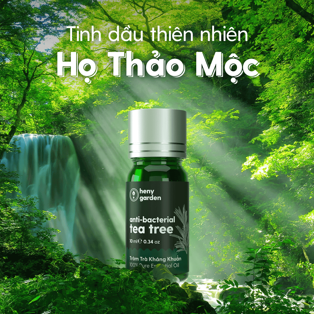 Tinh Dầu Thơm Phòng Thiên Nhiên 10 MÙI Nhóm THẢO MỘC HENY GARDEN