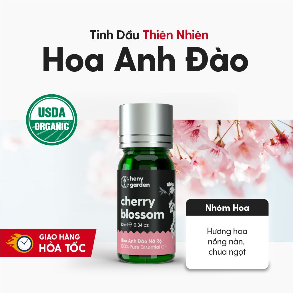 Tinh Dầu Hoa Anh Đào (Cherry Blossom Essential Oil) Heny Garden