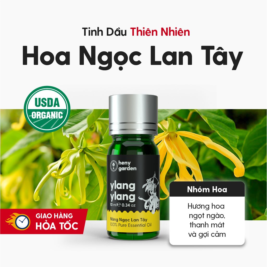 Tinh Dầu Ngọc Lan Tây (Ylang Ylang Essential Oil) Heny Garden