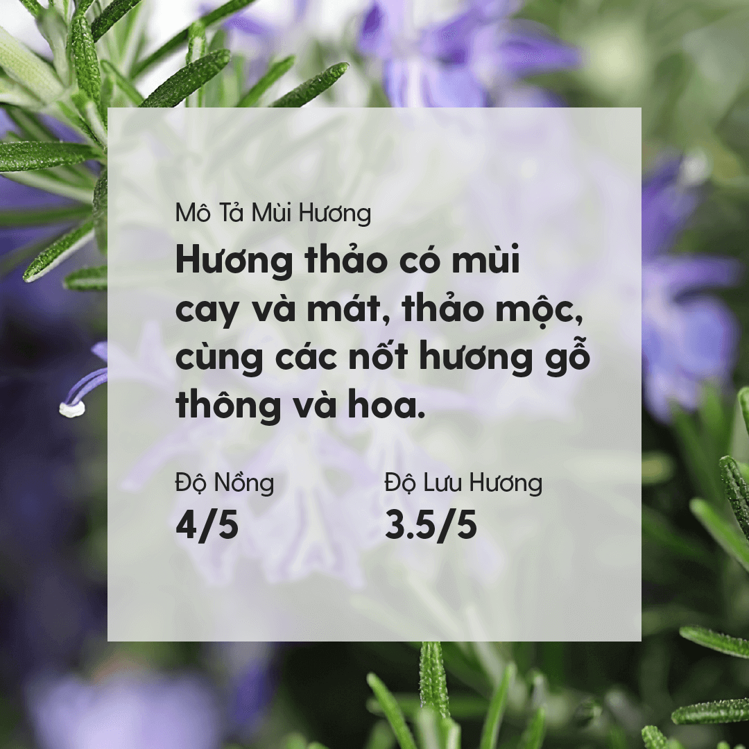 Tinh Dầu Hương Thảo (Rosemary Essential Oil) Heny Garden