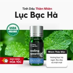 Tinh Dầu Thơm Phòng Thiên Nhiên 10 MÙI Nhóm THẢO MỘC HENY GARDEN