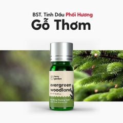 Tinh Dầu Thơm Phòng Phối Hương 15 MÙI Nhóm Gỗ HENY GARDEN