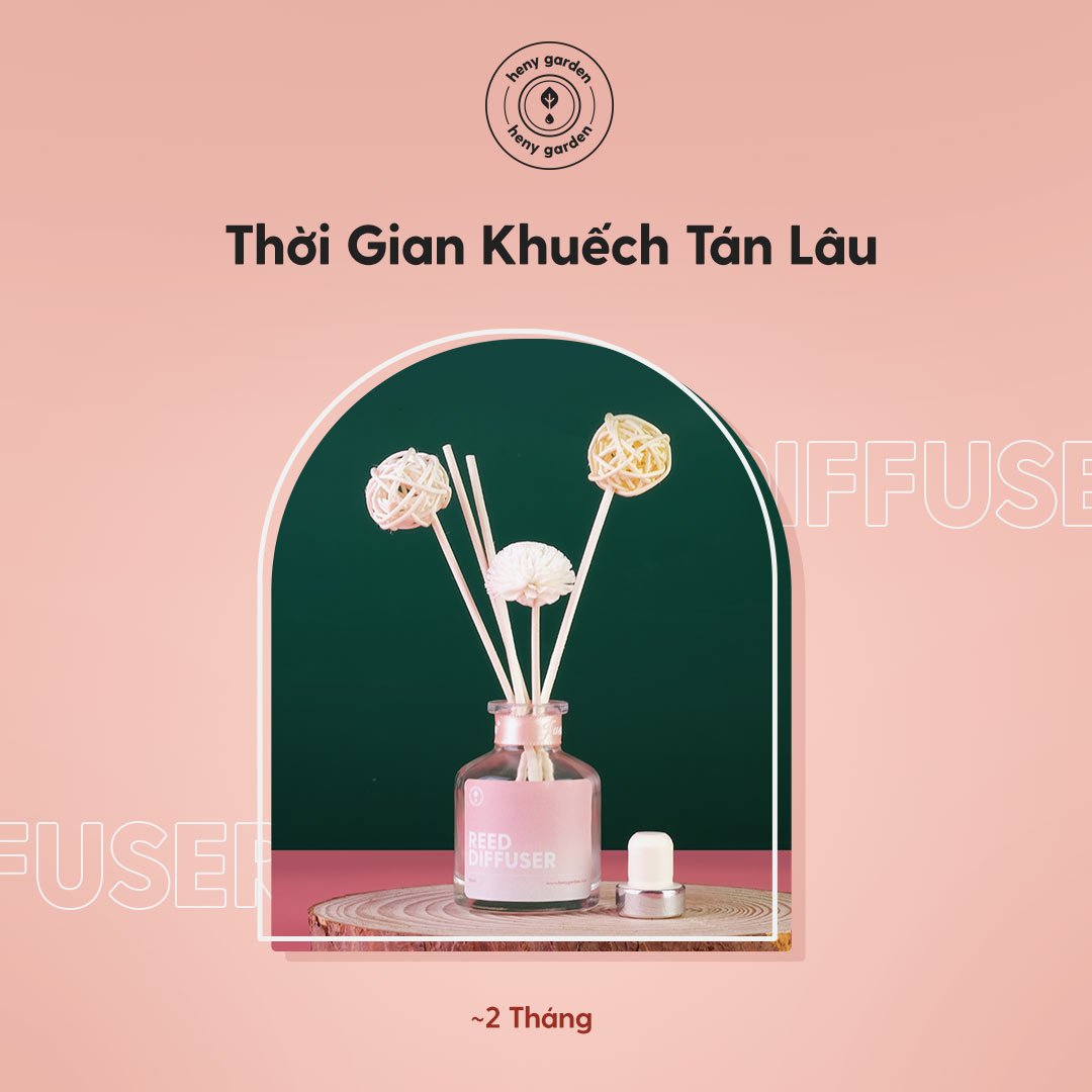 Que Mây Khuếch Tán Tinh Dầu Thay Thế (Màu Ngà) Heny Garden