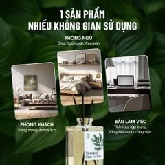 Bộ Tinh Dầu Khuếch Tán Thơm Phòng Cắm Que HENY GARDEN Thay Thế Máy Xông