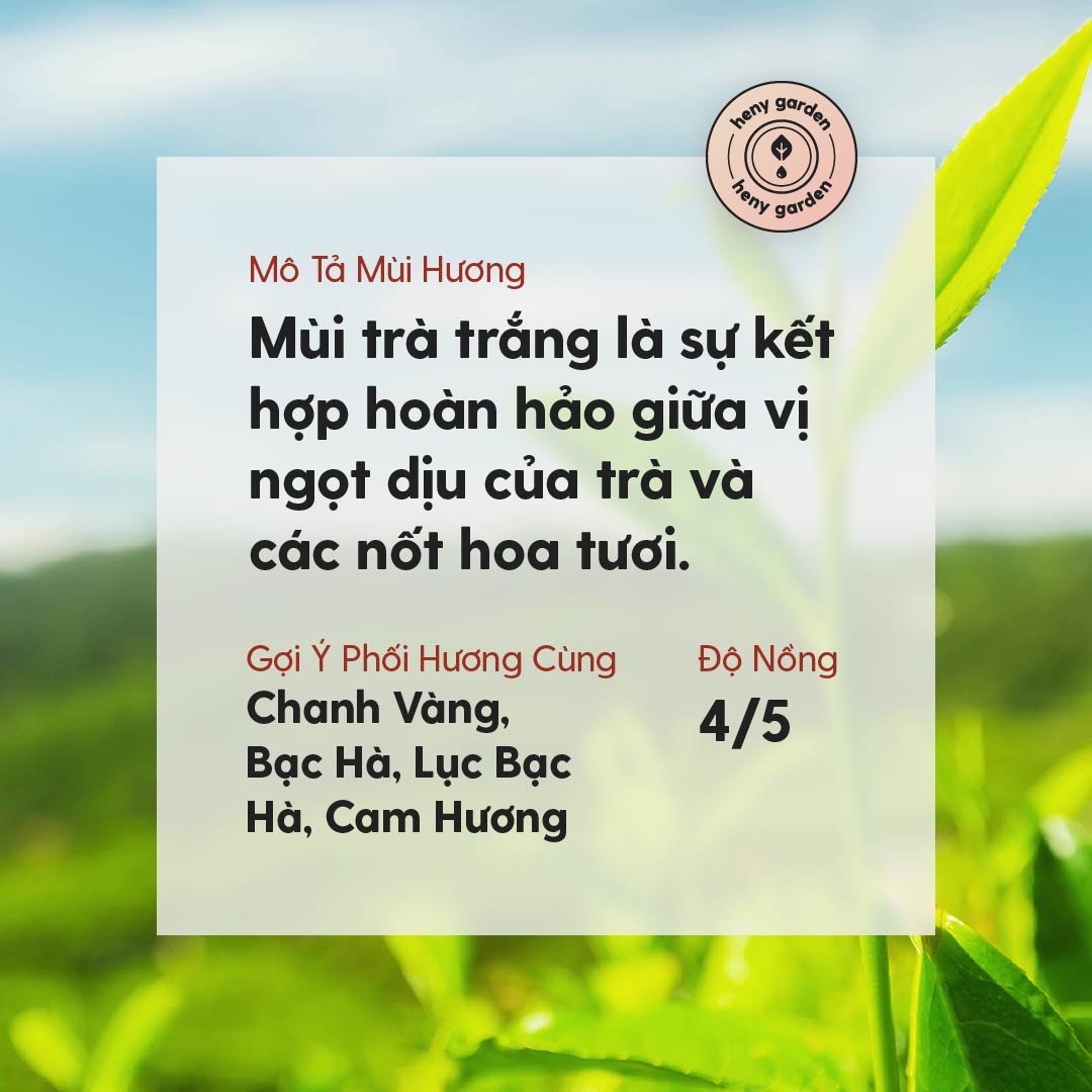 Tinh Dầu Trà Trắng (White Tea Essential Oil) Heny Garden