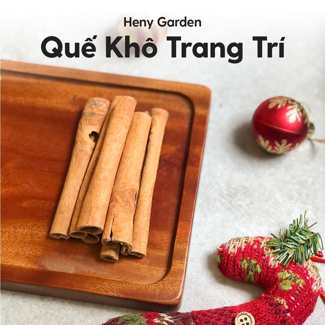 Quế Khô Trang Trí Nến