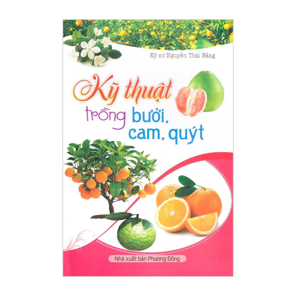  Kỹ Thuật Trồng Bưởi, Cam, Quýt 