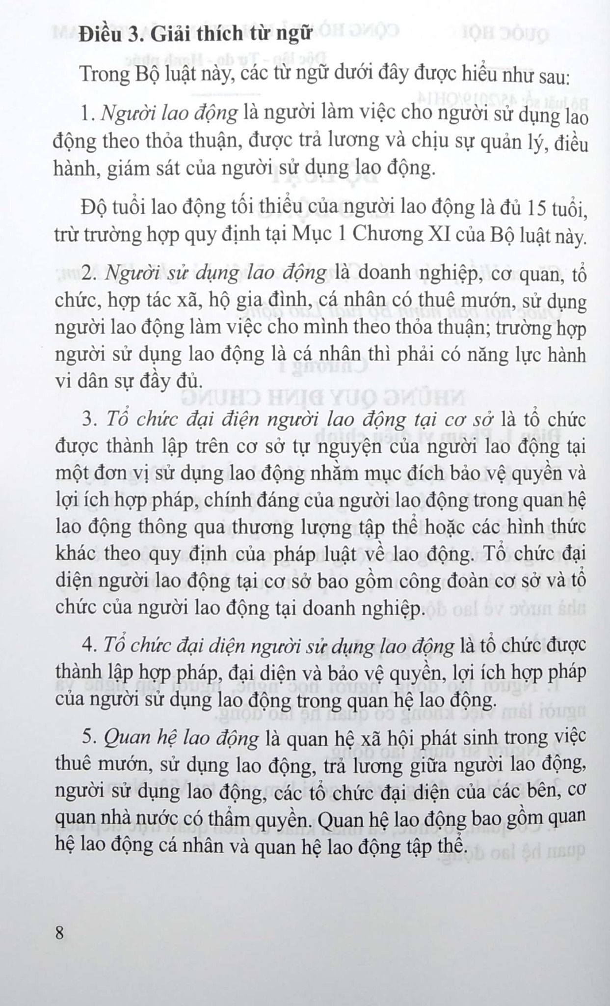  Bộ Luật Lao Động (Song Ngữ Anh-Việt) 