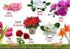  Từ Điển Bằng Hình - Song Ngữ Anh-Việt - Hoa, Quả, Rau, Củ 