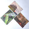  Boardgame Avalon - Sứ Mệnh Hiệp Sĩ BC02 